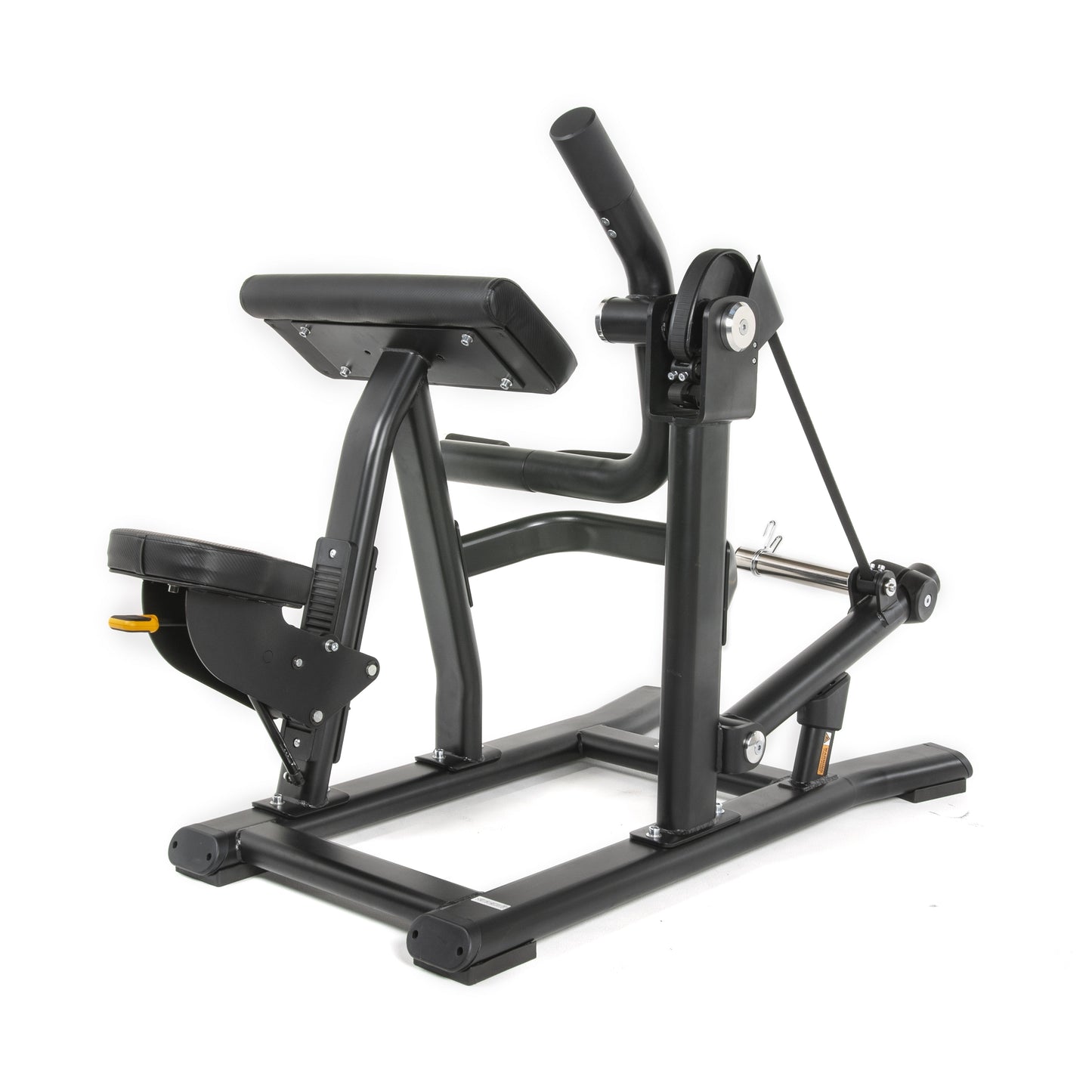 TF Standard PL Biceps Curl