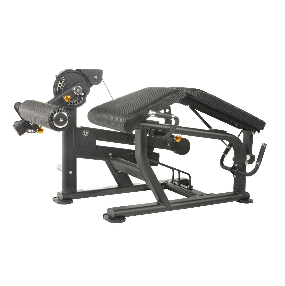 TF Standard PL Leg Extension/Prone Leg Curl