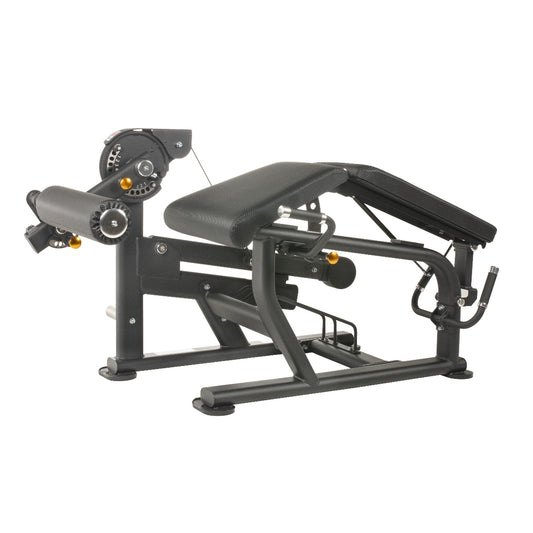 TF Standard PL Leg Extension/Prone Leg Curl