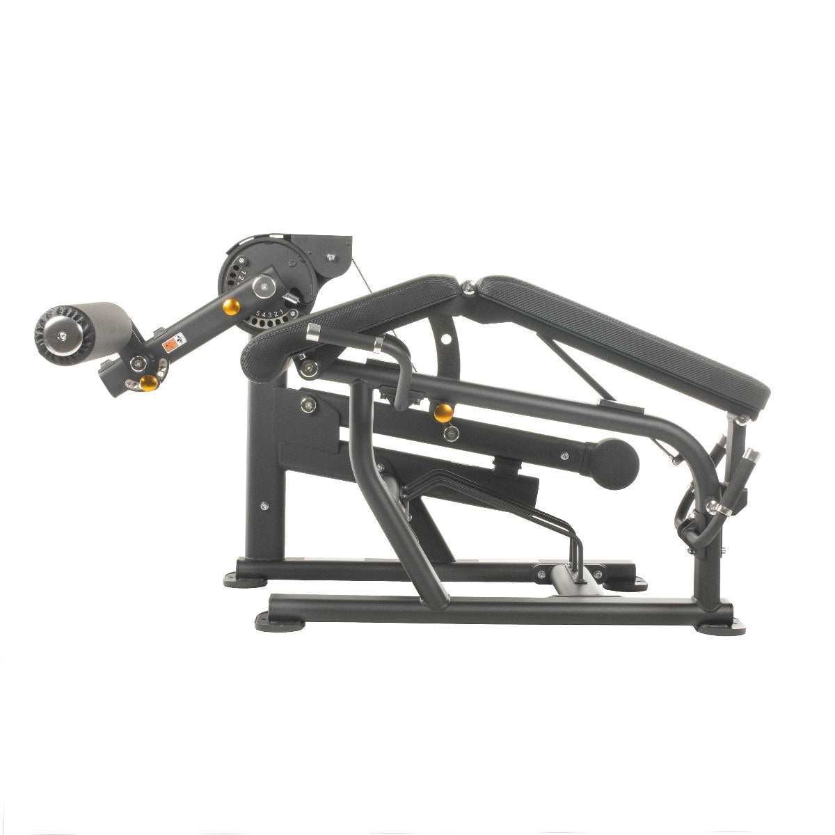 TF Standard PL Leg Extension/Prone Leg Curl