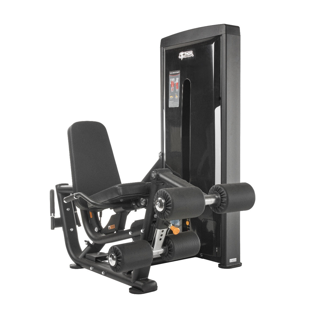 TF Standard WS Leg Curl/Extension Type 2